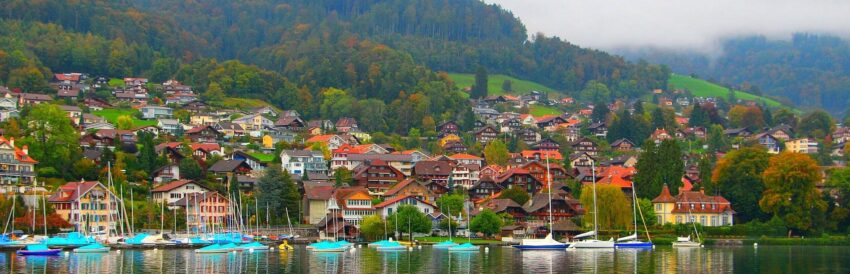 Share your contact details easily