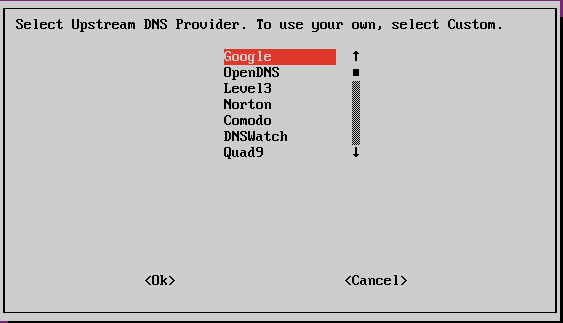 Pi-Hole Experience DNS Selection